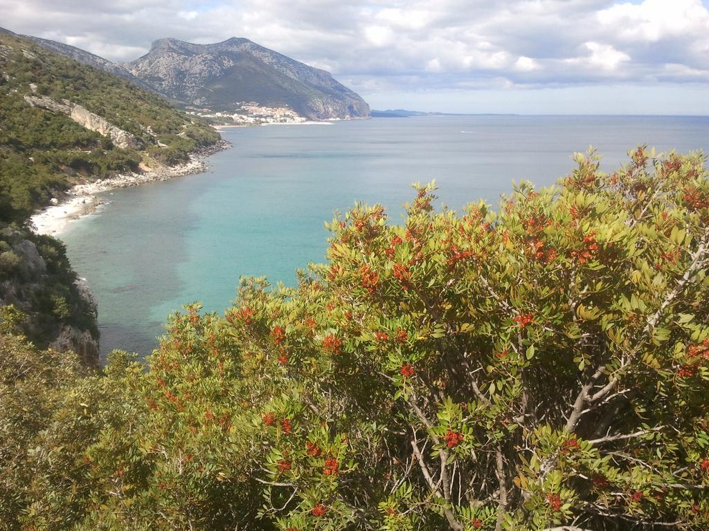 Bed & Breakfast Luce Viola Dorgali