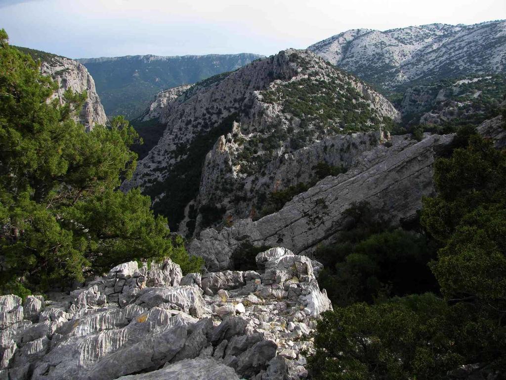 Luce Viola * Dorgali